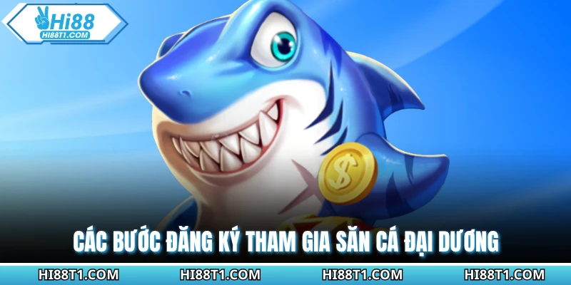 Các bước đăng ký tham gia săn cá đại dương