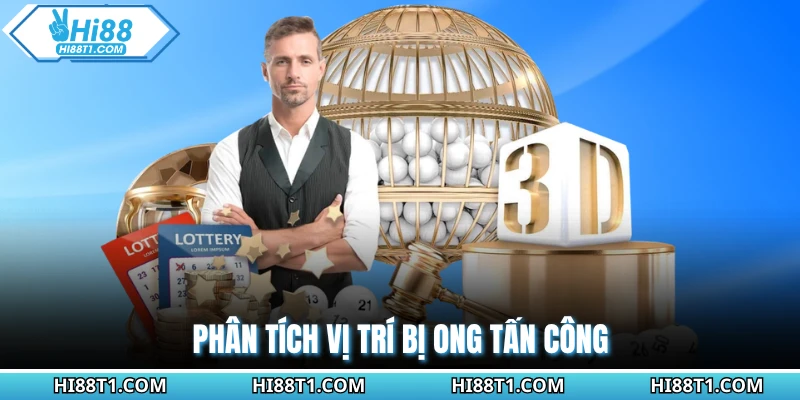 Phân tích vị trí bị ong tấn công